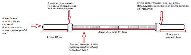 На рисунке – мужской гриф с центральной насечкой